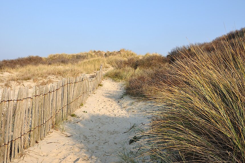 C'est la fin de l'été.les dunes